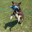 KONG WHIRLZ