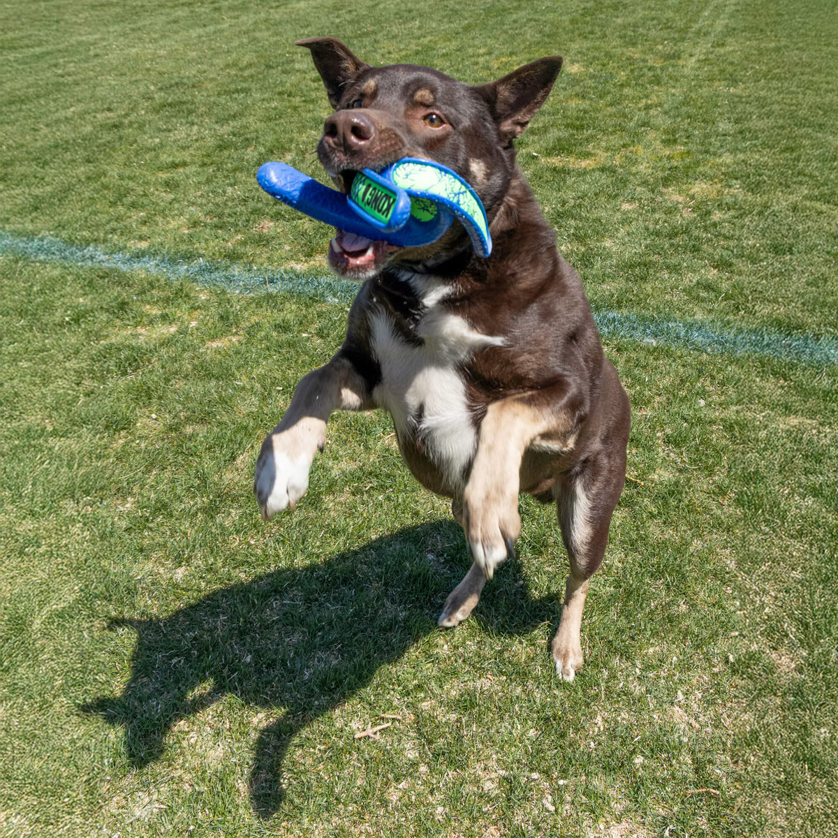 KONG WHIRLZ
