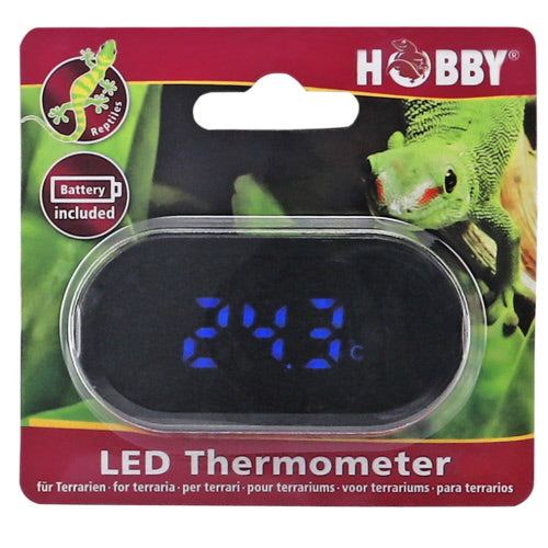LED – THERMOMETER