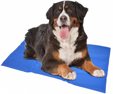 COOLING MAT BLUE