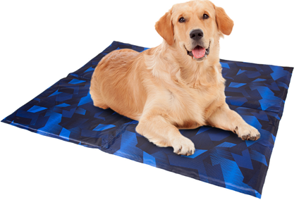 COOLING MAT LIMITED EDITION MULTICOLOUR