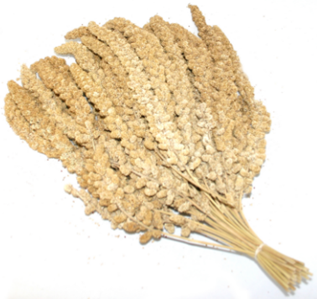 CHINESE MILLET 1kg