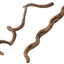 VINES