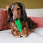 CHEW’Ν PLAY BRUSH