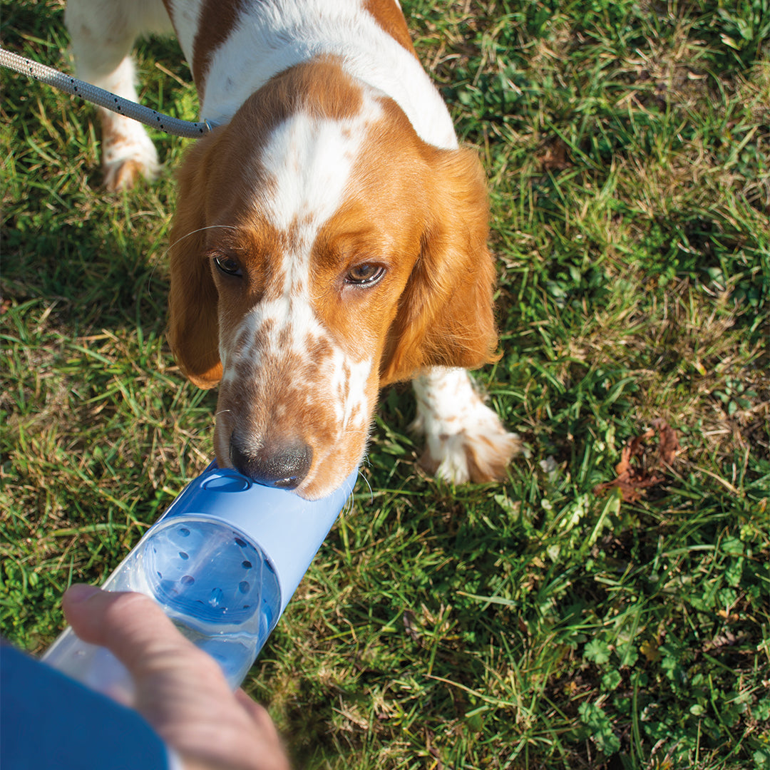 DRINKING BOTTLE 450ml
