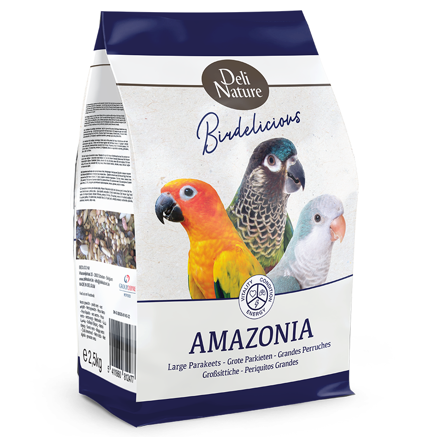BIRDELICIOU PARAKEET AMAZON
