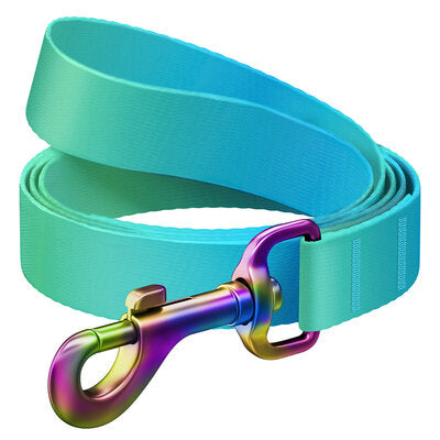WAUDOG NYLON DOG LEASH GRADIENT BLUE