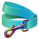 WAUDOG NYLON DOG LEASH GRADIENT BLUE