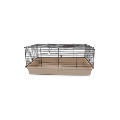 MANGO CAVIA 80