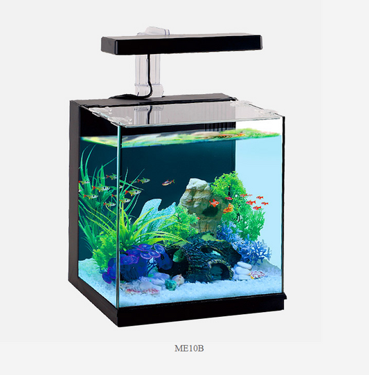 MINI ECO AQUARIUM
