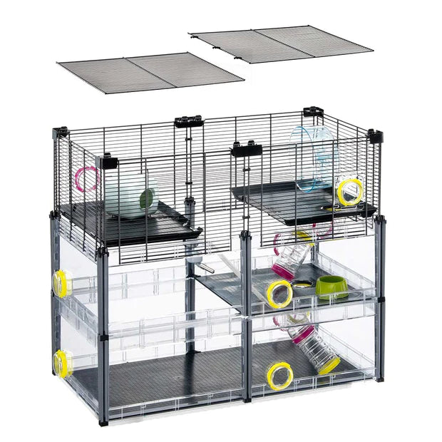 MULTIPLA HAMSTER CRYSTAL