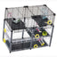 MULTIPLA HAMSTER CRYSTAL