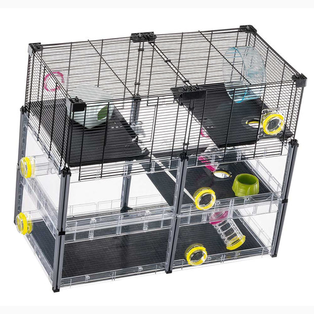 MULTIPLA HAMSTER CRYSTAL