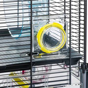 MULTIPLA HAMSTER CRYSTAL