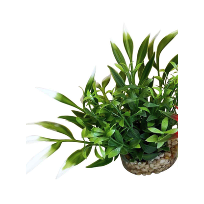 MAGIC NANO GARDEN H10cm