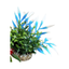 MAGIC NANO GARDEN H10cm