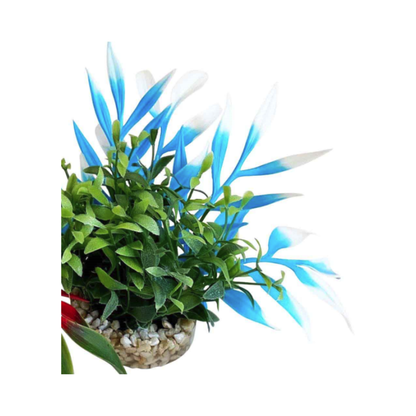 MAGIC NANO GARDEN H10cm