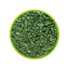 MICROZELL 20ml