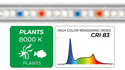 NEWA SLIM LED PLANTS