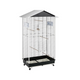 AVIARY NOTA MEDIUM BLACK