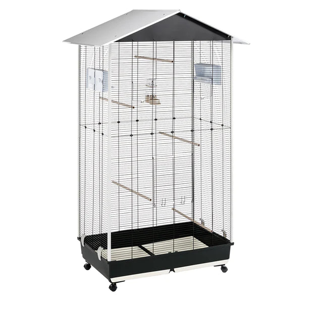 AVIARY NOTA MEDIUM BLACK