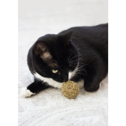 NATURALS FOR CAT CATNIP BALL