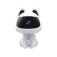 PET CAMERA