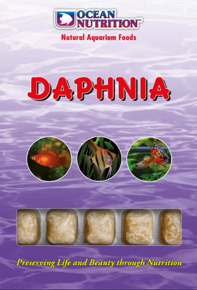 DAPHNIA CUBE TRAY 100g