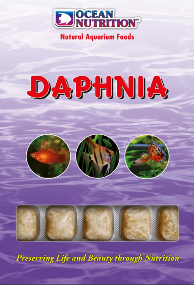DAPHNIA CUPE TRAY 100g