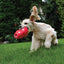 KONG BOUNZER