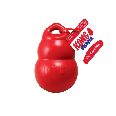 KONG BOUNZER