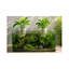 PLANT CULTIVATION CUPS