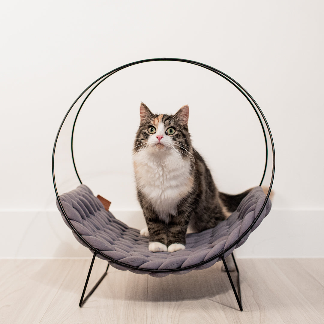 QUINCY CAT BED