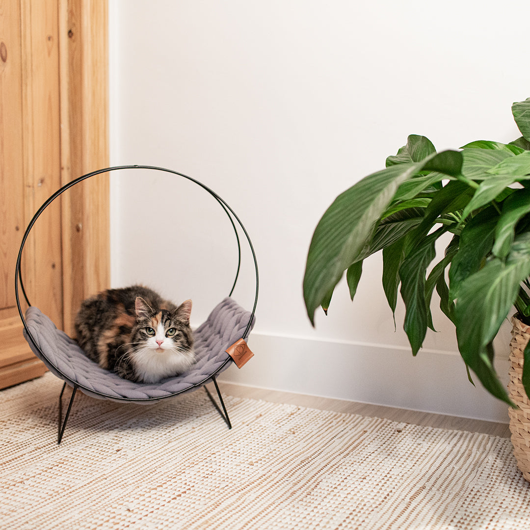 QUINCY CAT BED