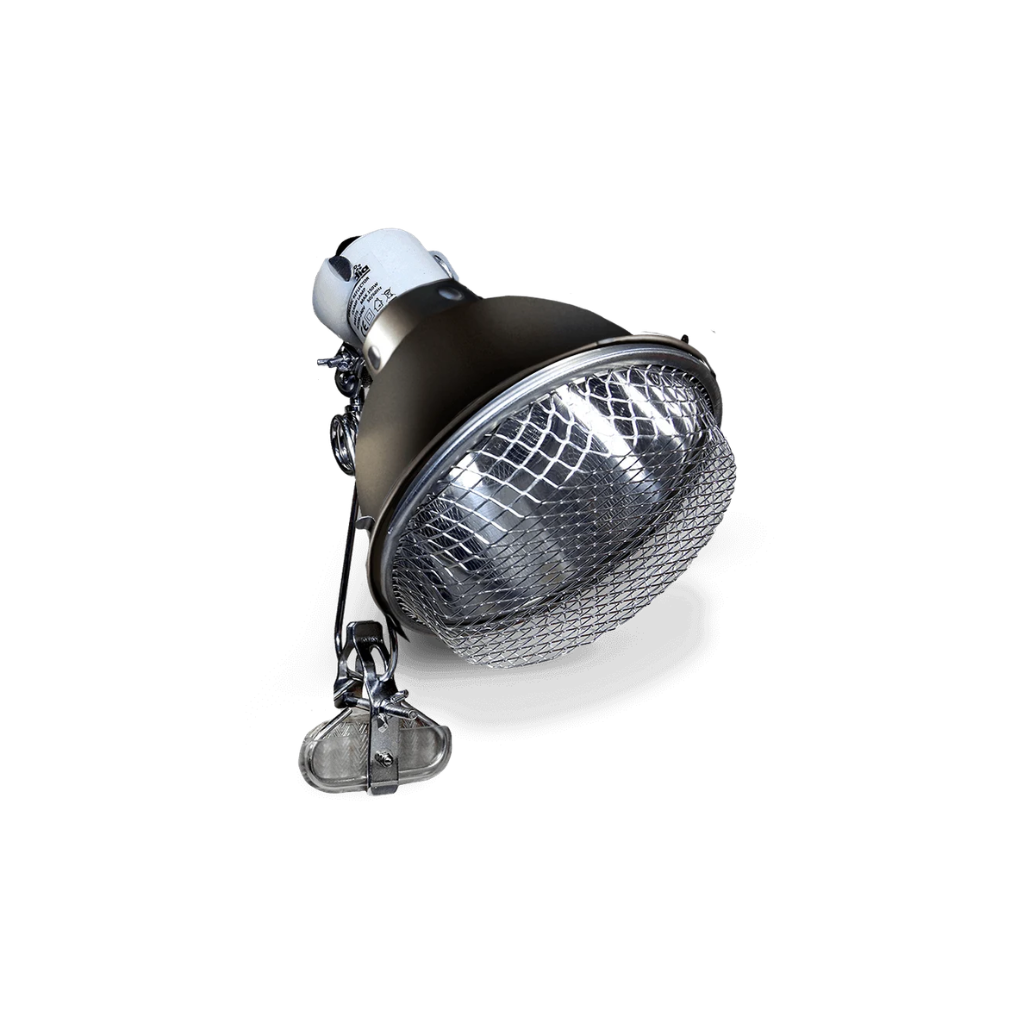 ARCADIA CERAMIC CLAMPLAMPS GRAPHITE