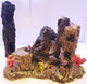 ANCHOR ON CORAL REEF 2