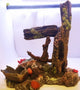 ANCHOR ON CORAL REEF