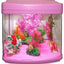 DM AQUARIUMS