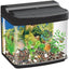 DM AQUARIUMS