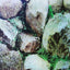 MEADOW  DOUBLE SIDED AQUARIUM  BACKGROUND
