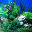 DOUBLE SIDED AQUARIUM  BACKGROUND