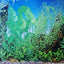 DOUBLE SIDED AQUARIUM  BACKGROUND