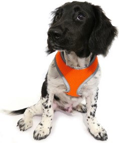 DOG COAT REFLECTIVE ORANGE