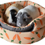 2 IN 1 CARROT "BEEHIVE" BED