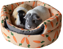 2 IN 1 CARROT "BEEHIVE" BED