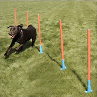 AGILITY SLALOM W/BAG
