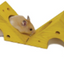 SLEEP N PLAY CHEESE
