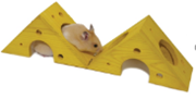 SLEEP N PLAY CHEESE