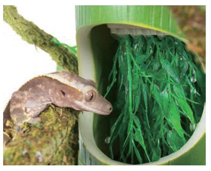 2 IN 1 BAMBOO DRINKING FOUNTAIN & FOOD DISH