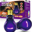 NIGHT HEAT LAMP